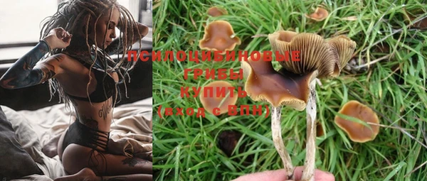 кокс Ладушкин