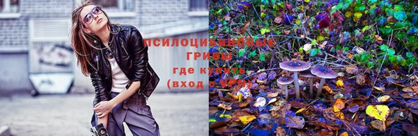 таблы Лабытнанги