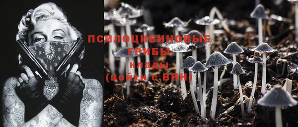 кокс Ладушкин