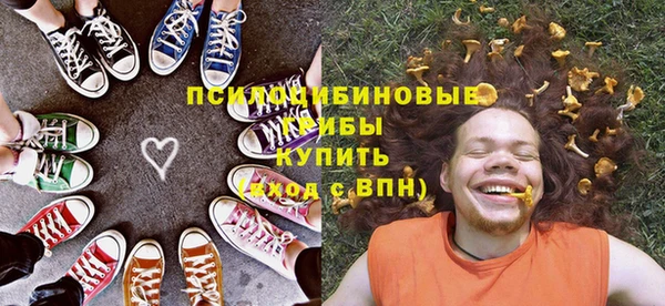 МДПВ Лагань