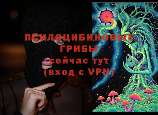 МДПВ Лагань